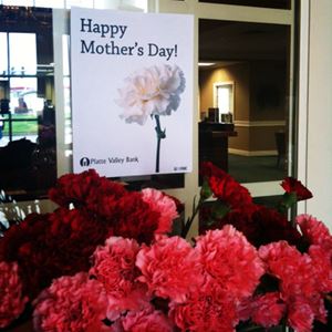 Photo named mothersday_carnations051013_fb.jpg