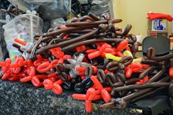 Photo named dsc_0074-copy.jpg