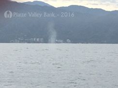 Photo named img_3726.jpg