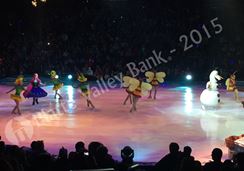 Photo named disneyfrozen_28_083115.jpg