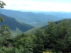 Photo named p50_biltmore_081514_45.jpg