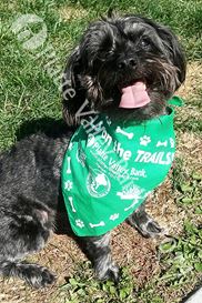 Photo named tails-on-the-trails10.jpg