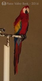 Photo named fullsizerender8.jpg