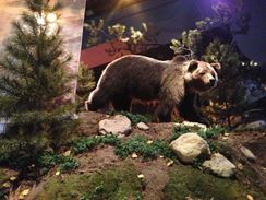 Photo named 2013-09-22-14-34-25.jpg