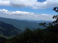 Photo named p50_biltmore_081514_39.jpg