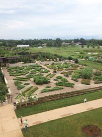 Photo named p50powellgardens_080713_6_fb.jpg