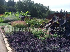 Photo named p50_biltmore_081514_4.jpg