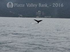 Photo named img_3730.jpg