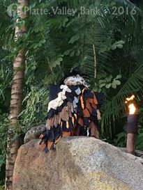 Photo named img_3657.jpg