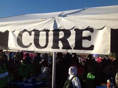 Photo named photo-9_fb.jpg