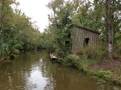 Photo named 2013-11-07-10-28-48.jpg