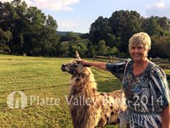 Photo named p50_biltmore_081514_28.jpg