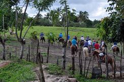 Photo named dsc_0061a.jpg