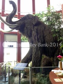 Photo named prog_lunch_p502a.jpg