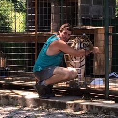 Photo named p50_bigcats5.jpg