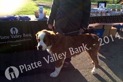 Photo named tails-on-the-trails8.jpg