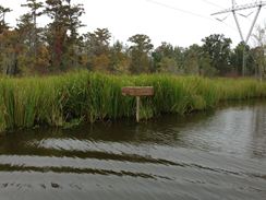 Photo named 2013-11-07-10-19-23.jpg