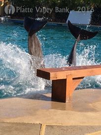 Photo named fullsizerender13.jpg