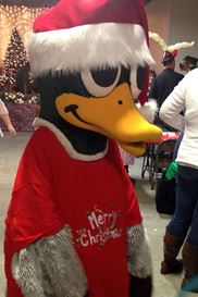 Photo named pvb_bws_2014_6446.jpg