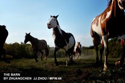 Photo named 66_cliffvi_zhou_08-1024x682.jpg