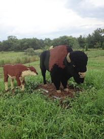 Photo named p50powellgardens_080713_7_fb.jpg