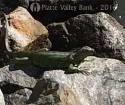 Photo named fullsizerender5.jpg