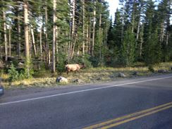 Photo named 2013-09-22-17-49-52.jpg