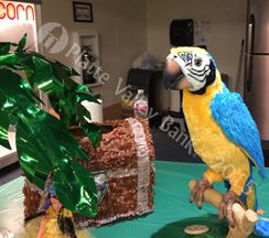 Photo named 2015_ymca_tnt2_102315.jpg