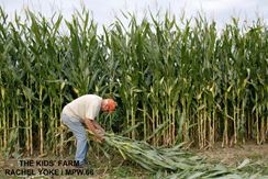 Photo named 66_gilka_yoke_08-1024x682.jpg