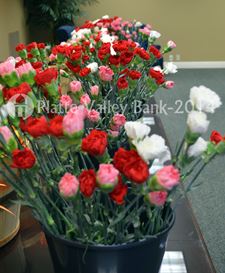 Photo named dsc_0046a.jpg