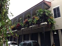 Photo named 2013-11-06-15-13-52.jpg