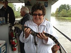 Photo named 2013-11-07-11-05-31.jpg