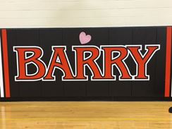 Photo named pirate_princessball_barry_5.jpg