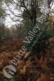 Photo named 2prime-50-club-75.jpg