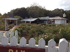 Photo named 2013-11-08-14-18-58.jpg