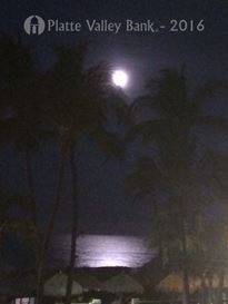 Photo named img_3687.jpg