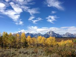 Photo named 2013-09-24-11-44-36.jpg