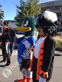 Photo named jdrf-walk4_102014.jpg