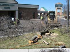 Photo named libconst_032213_1.jpg