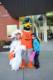 Photo named dsc_0117-copy.jpg