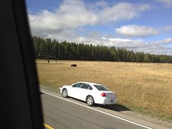 Photo named 2013-09-23-11-52-54.jpg