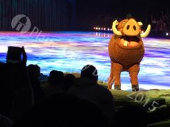 Photo named disney_passport_7835.jpg