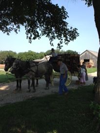 Photo named p50mahaffie_2.jpg