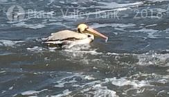 Photo named fullsizerender4.jpg