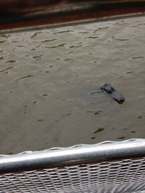 Photo named 2013-11-07-11-02-07.jpg