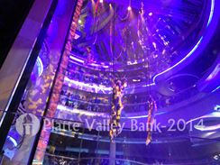 Photo named bermuda_sb_73a.jpg