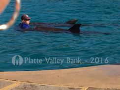 Photo named img_3622.jpg