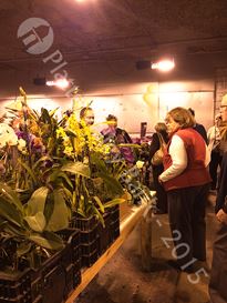 Photo named kcwintergardens13v1.jpg