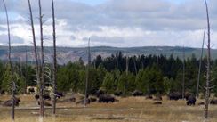 Photo named dscn0138.jpg