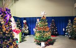 Photo named mult-trees.jpg